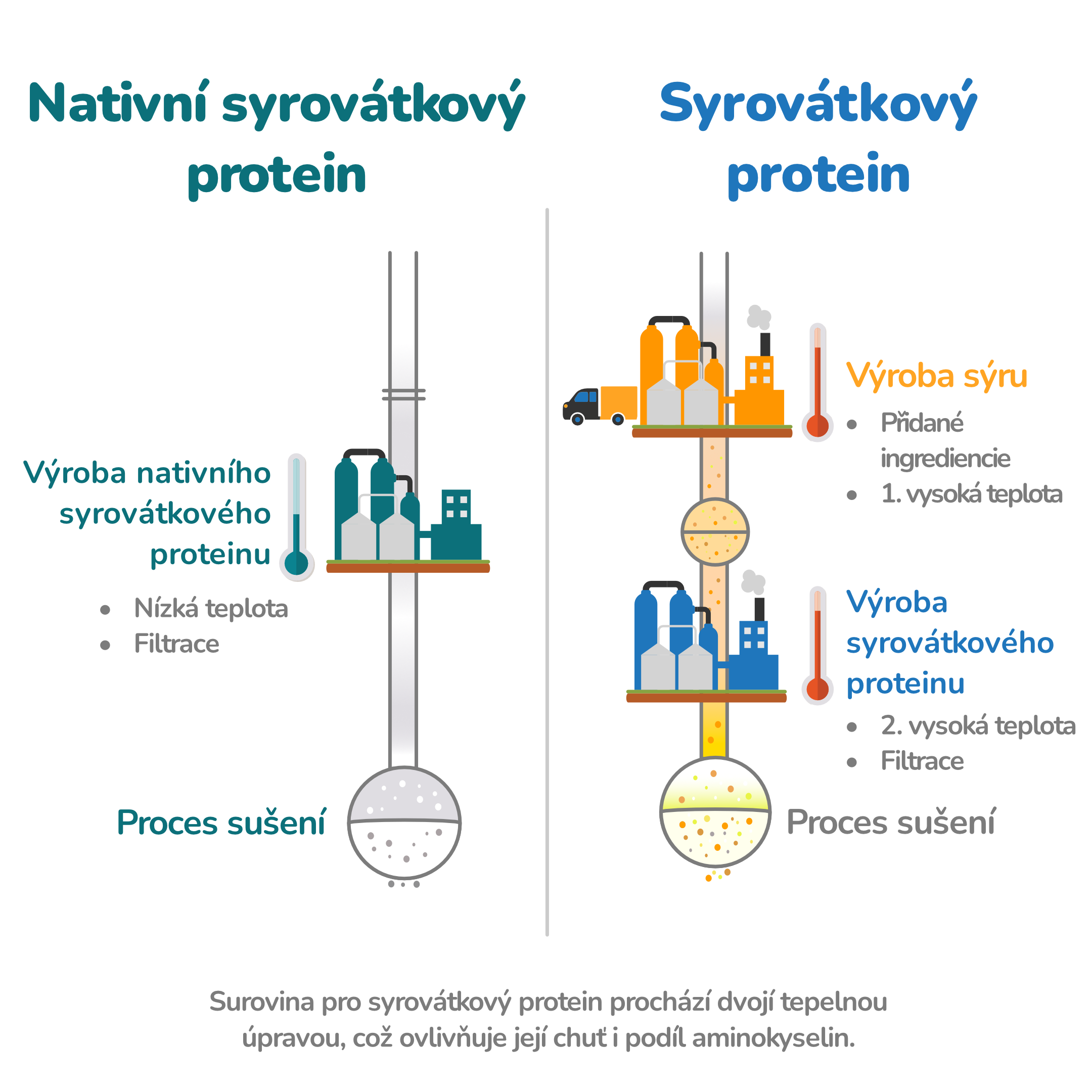 Vyroba proteinu_1_bez pozadi_cz